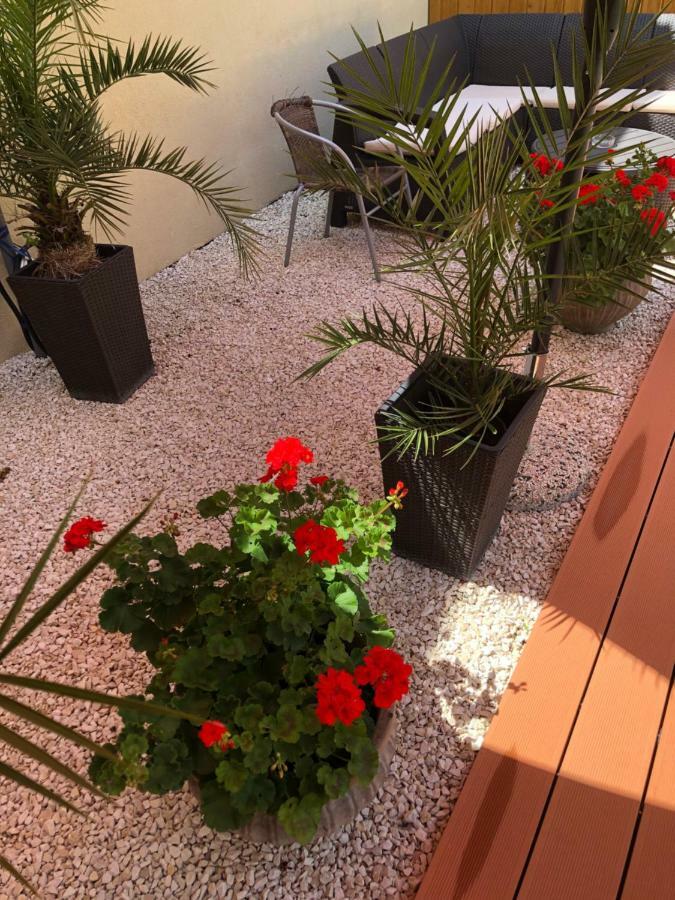 Mosoly Apartman Segedyn Zewnętrze zdjęcie
